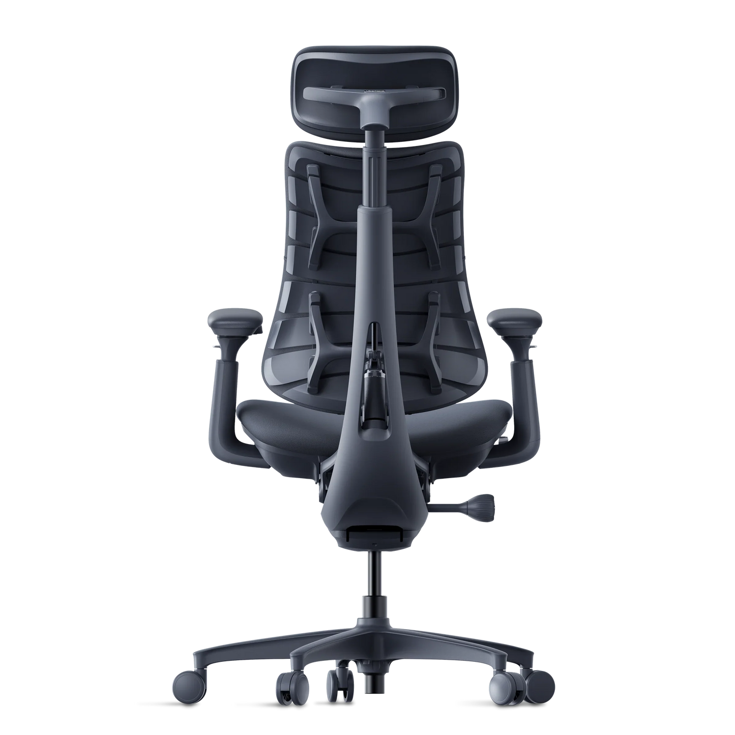Omni Dynamisk Ergostol
